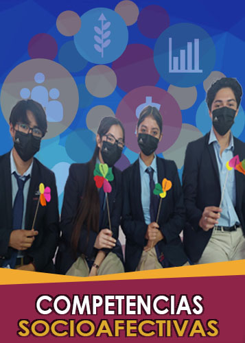 Competencias socioafectivas
